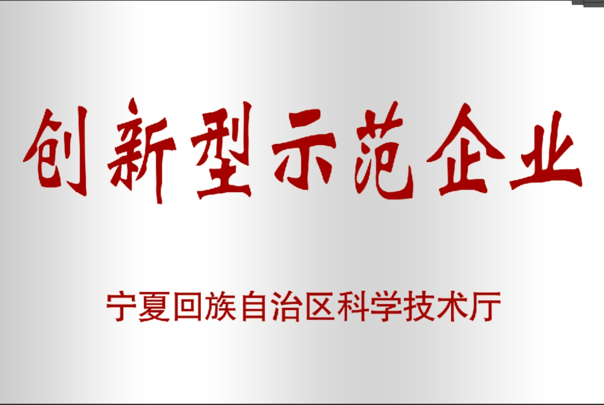 创新型示范企业