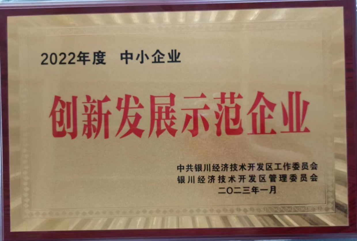 创新发展示范企业